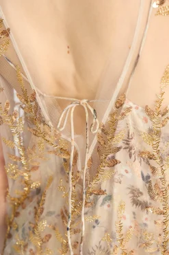 Barika Gold Sheer Dress